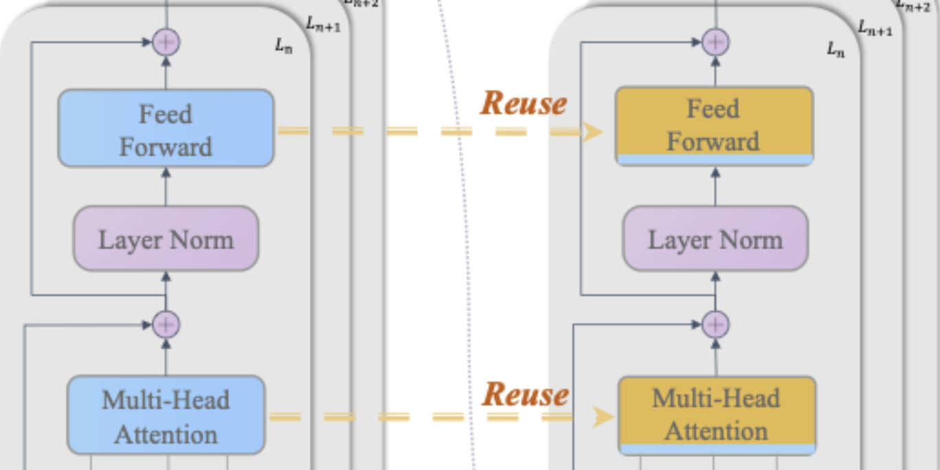 Compute-skipping reuse across transformer blocks in dLLM-v2